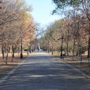 Pobeda Park, Tiraspol